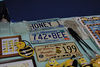 beetography > Vincennes University >  DSC_8564