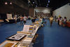 beetography > Vincennes University >  DSC_8565