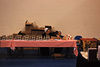beetography > Vincennes University >  DSC_8566
