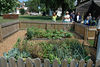 beetography > Vincennes University >  DSC_8582