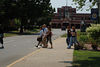 beetography > Vincennes University >  DSC_8616