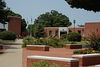 beetography > Vincennes University >  DSC_8618