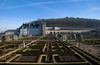 beetography > Tours, France >  DSC_3572