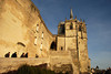 beetography > Tours, France >  DSC_3733-edited