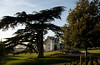 beetography > Tours, France >  DSC_3788_edited