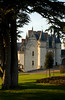 beetography > Tours, France >  DSC_3789_edited