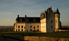 beetography > Tours, France >  DSC_3791_edited